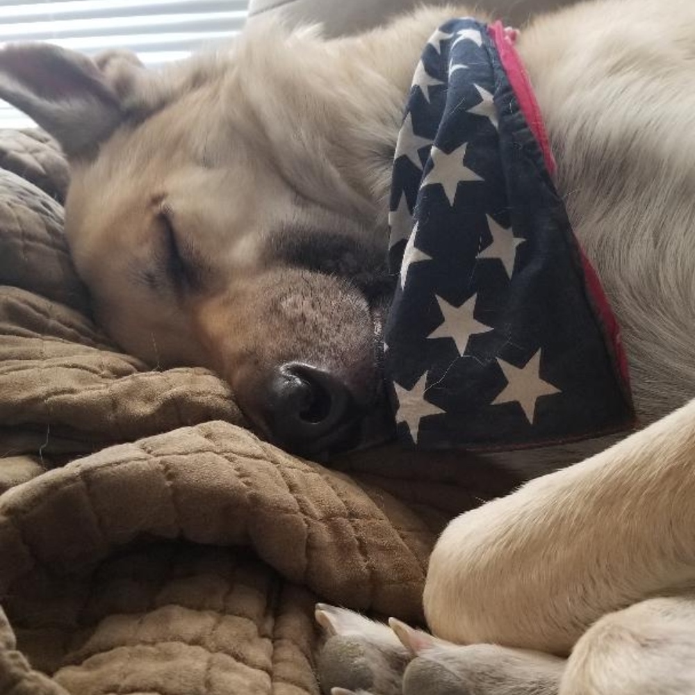 Meet your Posher, Emm